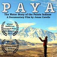 paya-film-poster